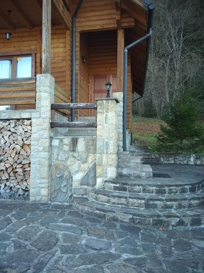 Villa На Полумистому à Mykulychyn Extérieur photo